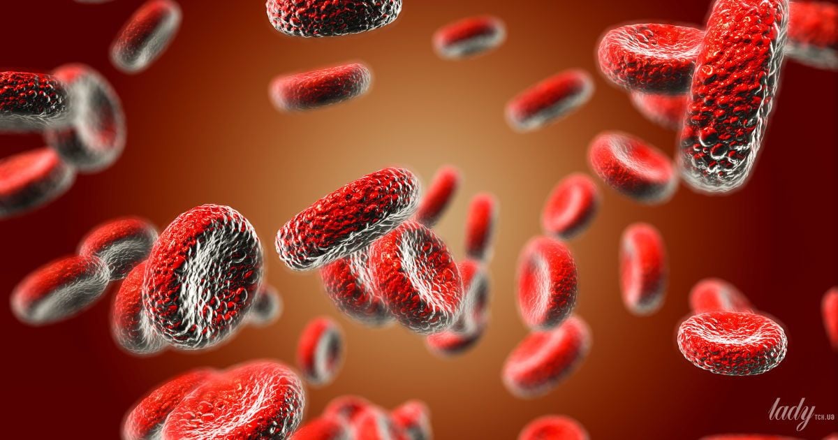 Vai trò quan trọng của sắt đối với sức khỏe tổng thể